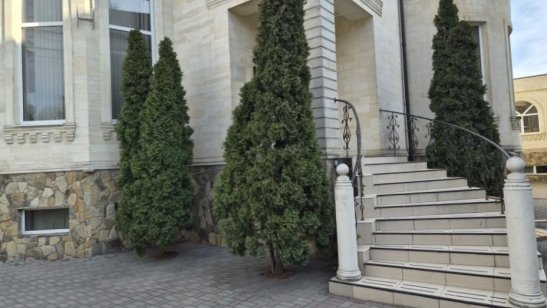 Пансионат «Исток» ул. Читательская фото 8